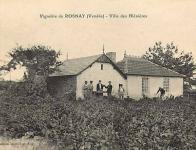 Rosnay