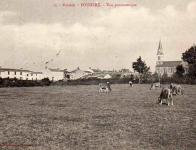 Fougere