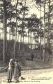 Forêt