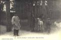 Jardin public - Repas des cerfs