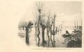 Les marais du Grand-Lay
