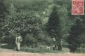 Forêt de Mervent - Pierre Brune