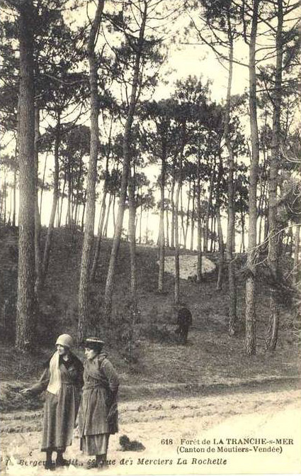 Forêt