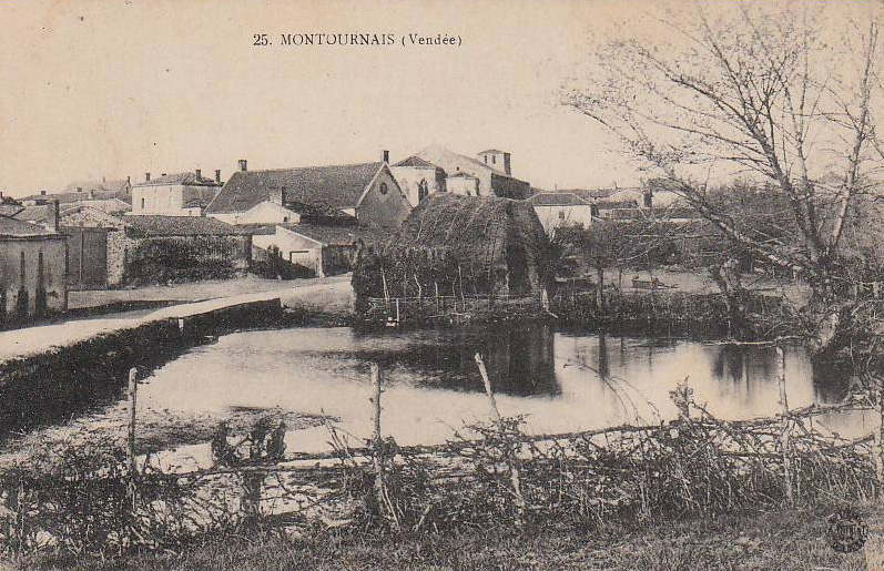 Vue générale